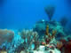Underwater Bequia